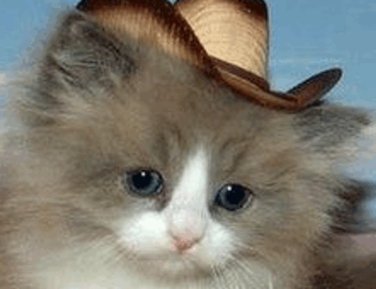 best graphic design courses gfxtek