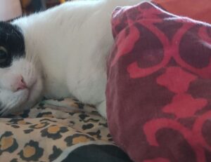 etrstech technology news by etherions