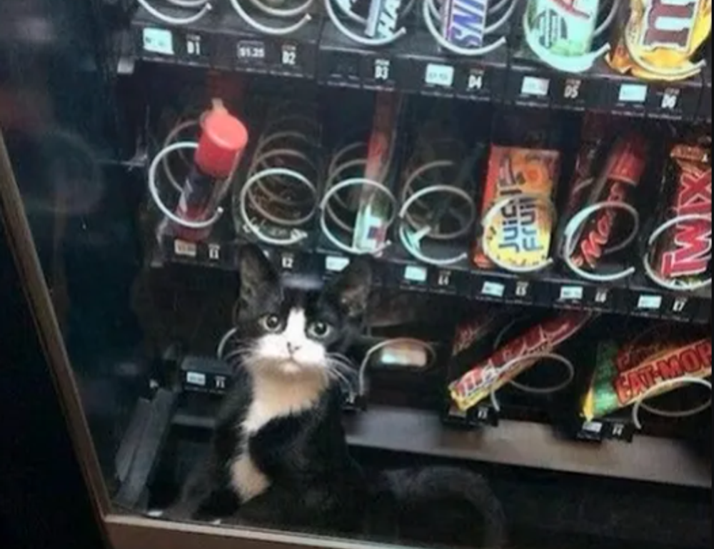 etrstech technology updates from etherions