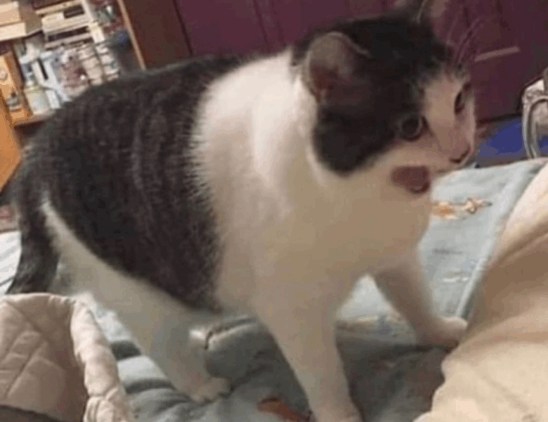 flpsymbolcity free symbols by freelogopng