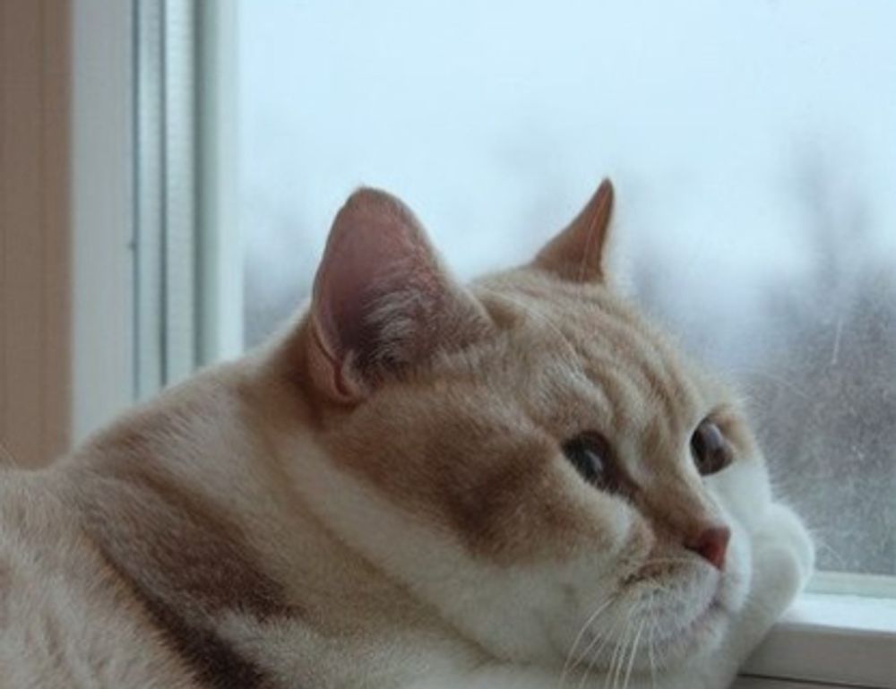 gfxpixelment photoshop guide bygfxmaker