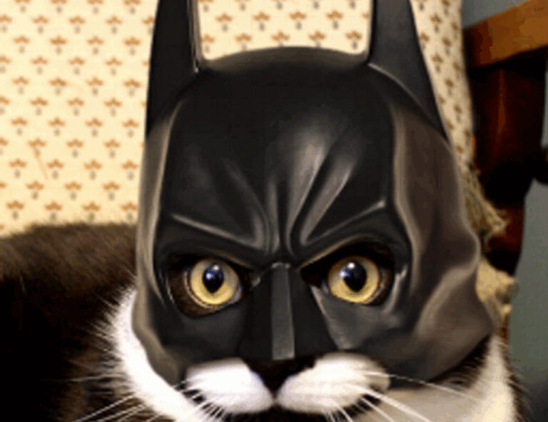 gfxtek tech software guide by gfxmaker