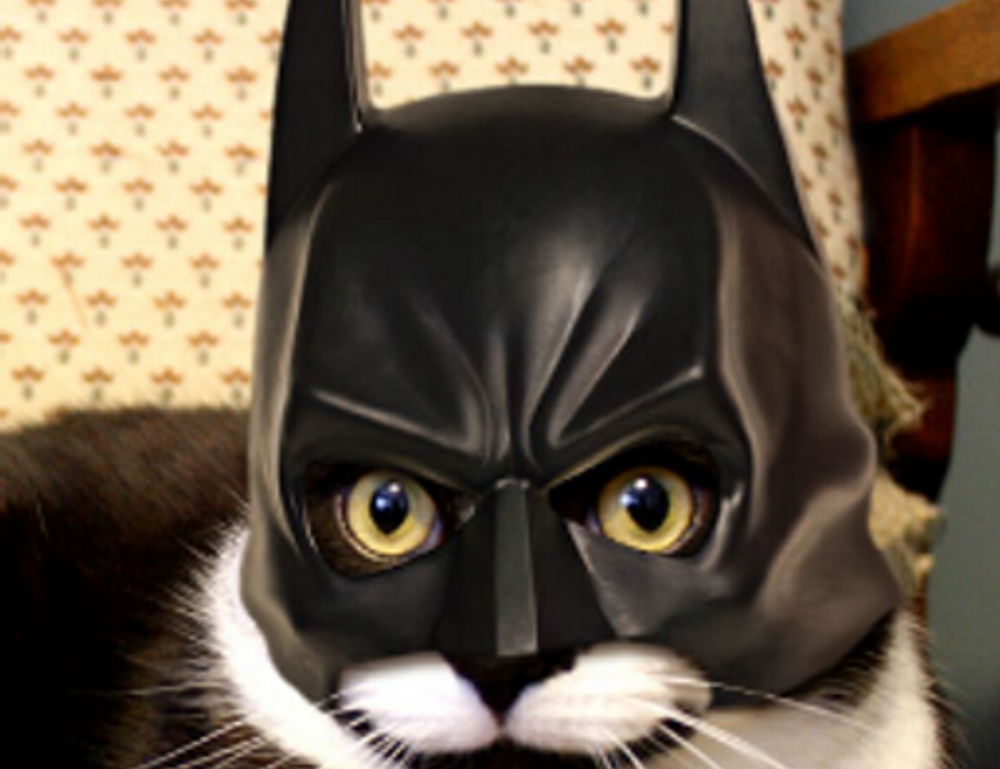 gfxtek tech software guide by gfxmaker