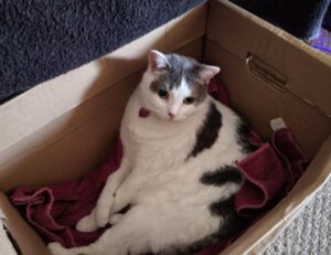 gmrrcomputer trending tech news by gamerawr