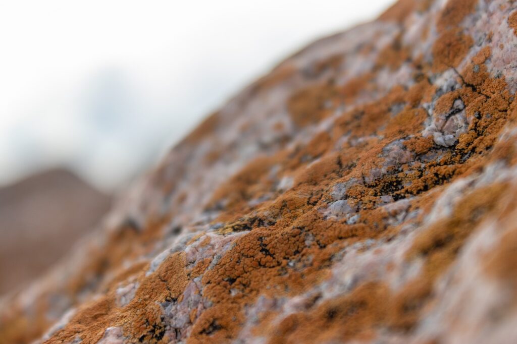 graphics software guide gfxtek