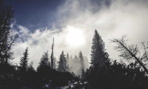 graphics software tips gfxtek