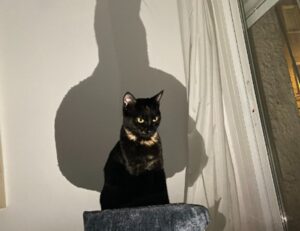 how automated storage works etrstech