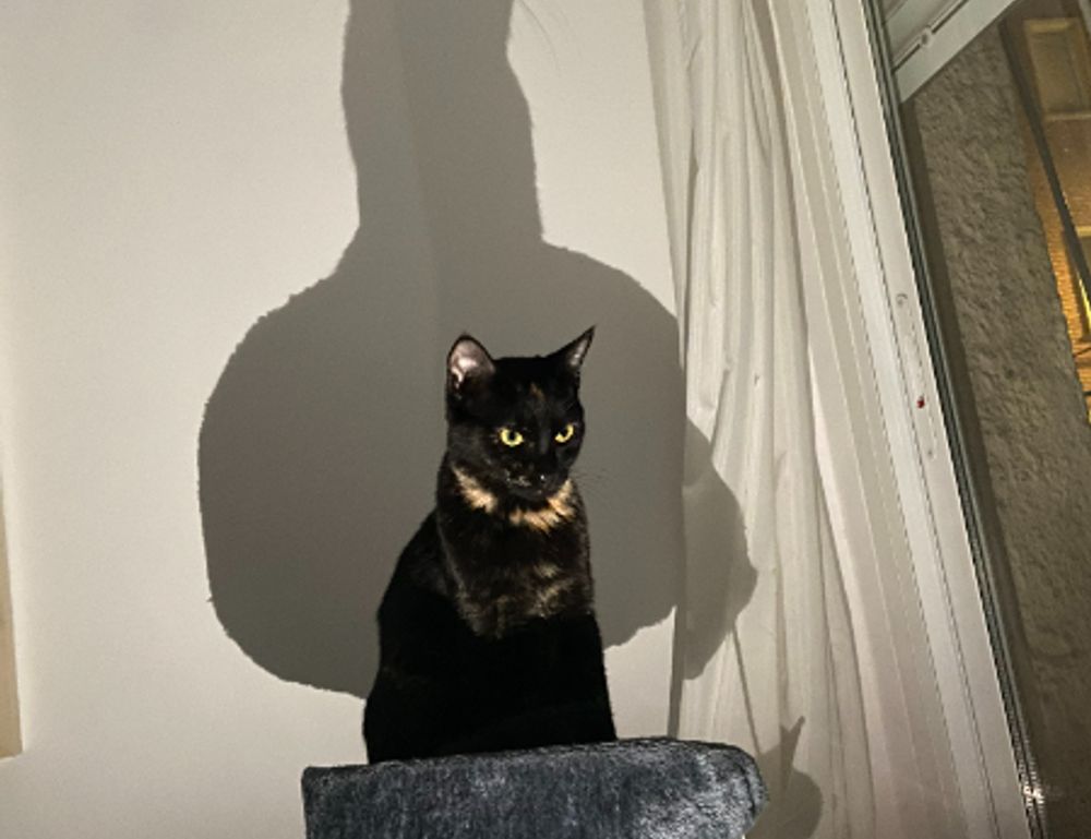 how automated storage works etrstech