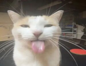 how many locations in clienage9