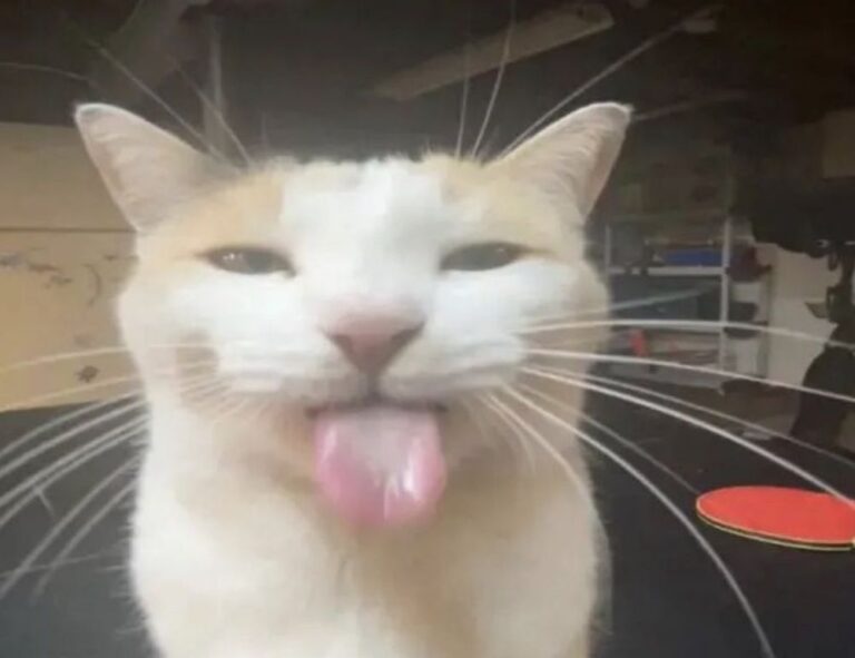 how many locations in clienage9