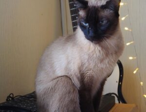 how to prevent fraud in businesses etrstech