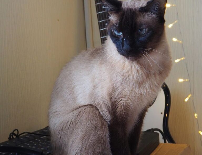 how to prevent fraud in businesses etrstech