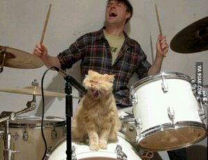 is fg964f-d bed model soft