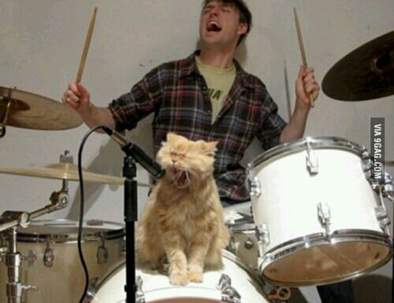 is fg964f-d bed model soft