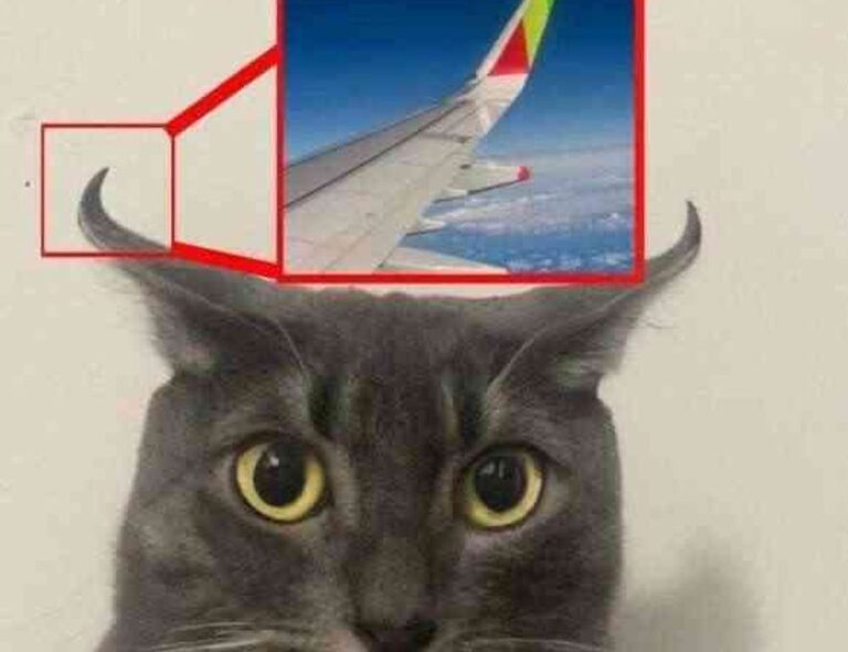 jotechgeeks technology news by javaobjects