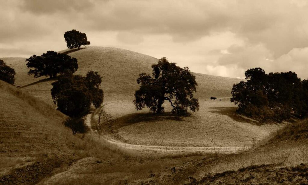 jotechgeeks technology updates from javaobjects