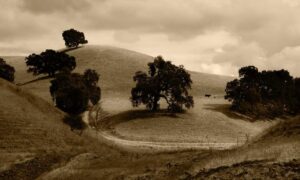 jotechgeeks technology updates from javaobjects