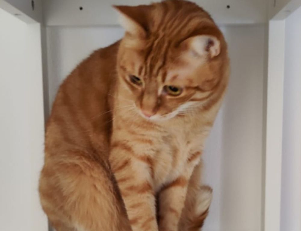 latest tech trends gamrawtek