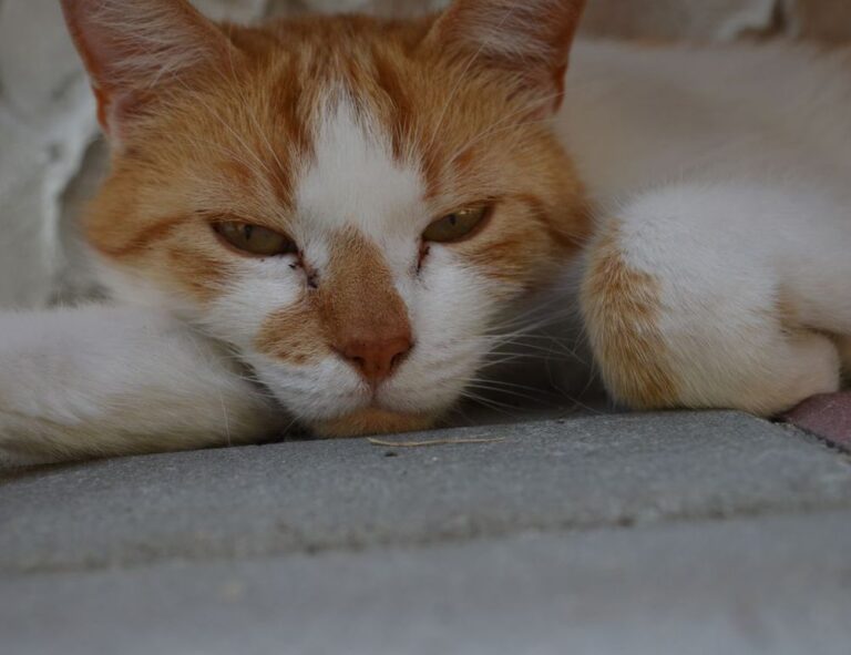 latest tech trends togtechify