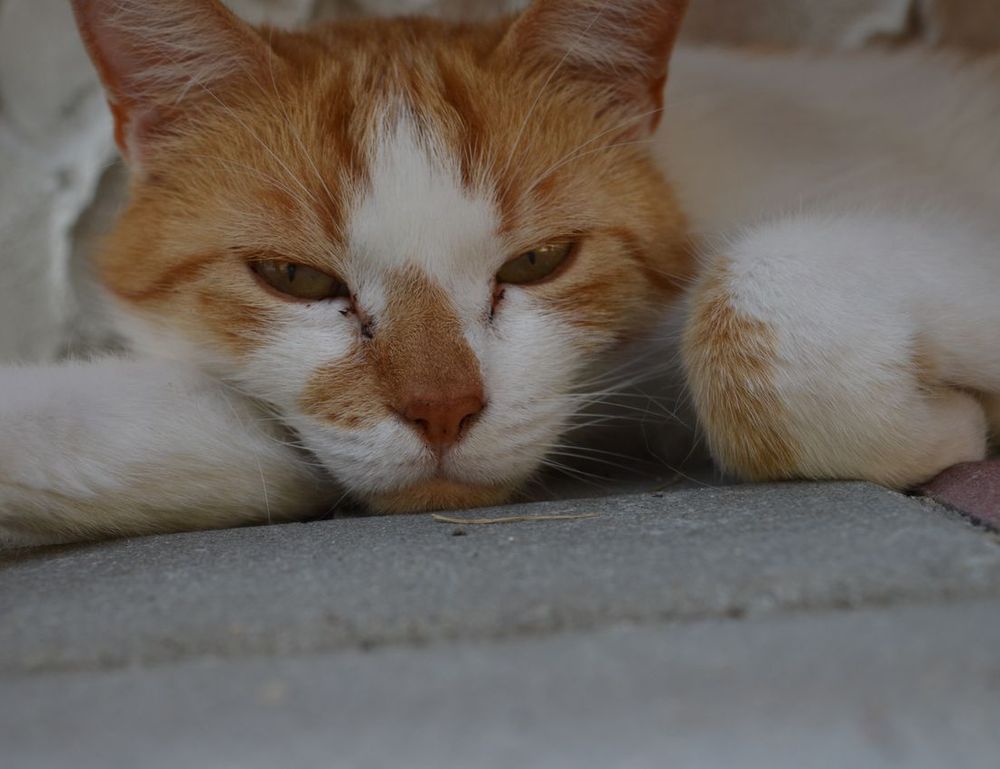 latest tech trends togtechify