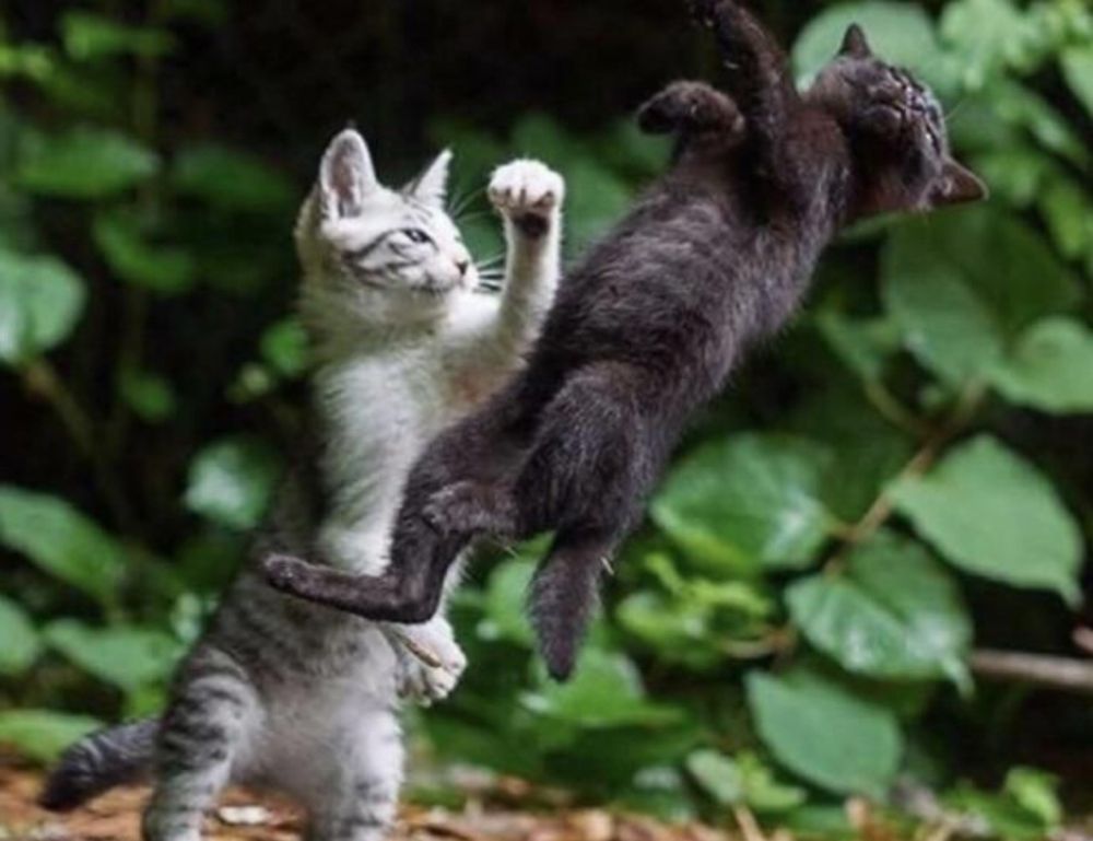 newest tech updates jotechgeeks