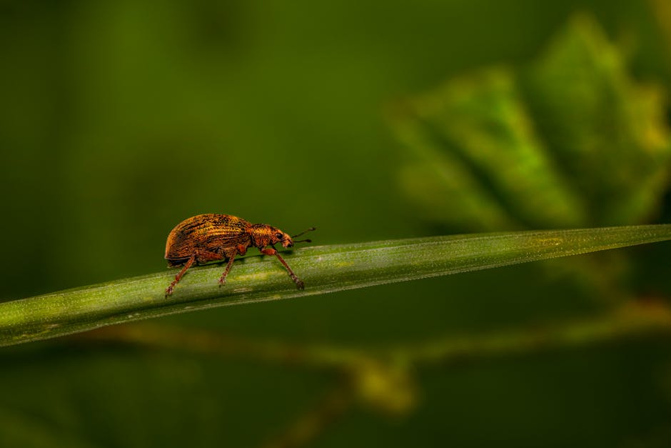 relentless-prioritization-1