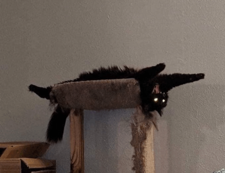 software advice wbsoftwarement