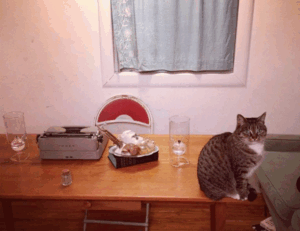 software automation wbsoftwarement