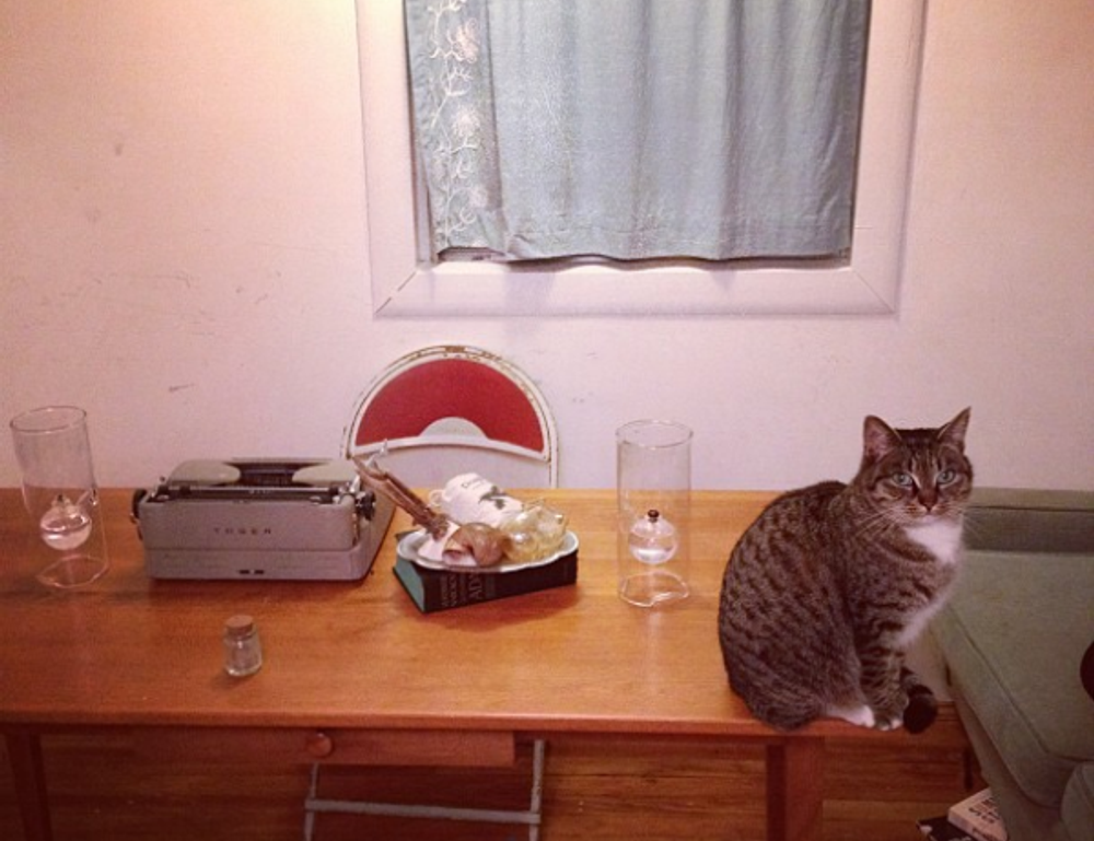 software automation wbsoftwarement