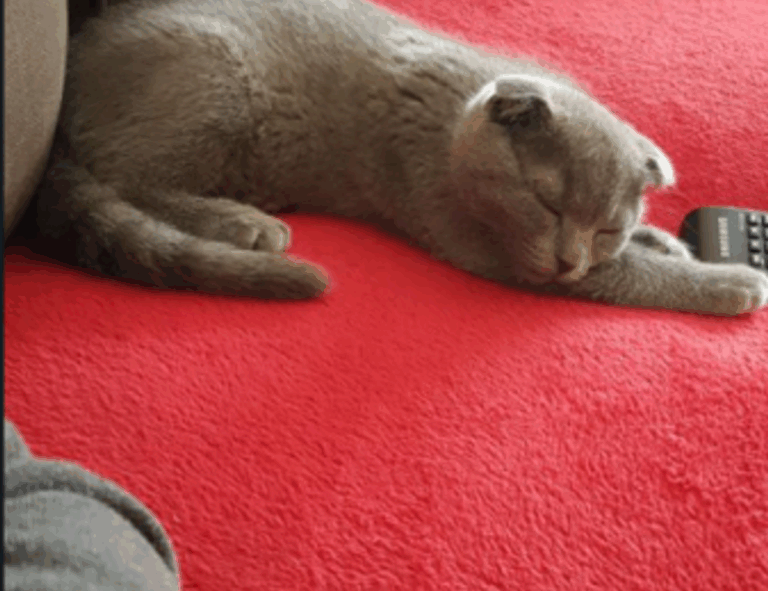 software gfxpixelment