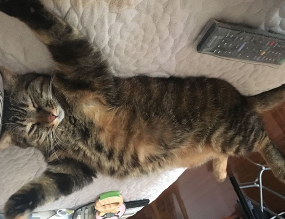 tech news jotechgeeks