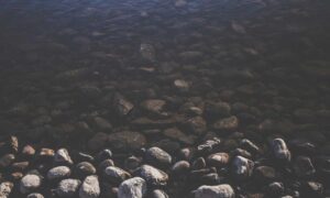 tech news togtechify