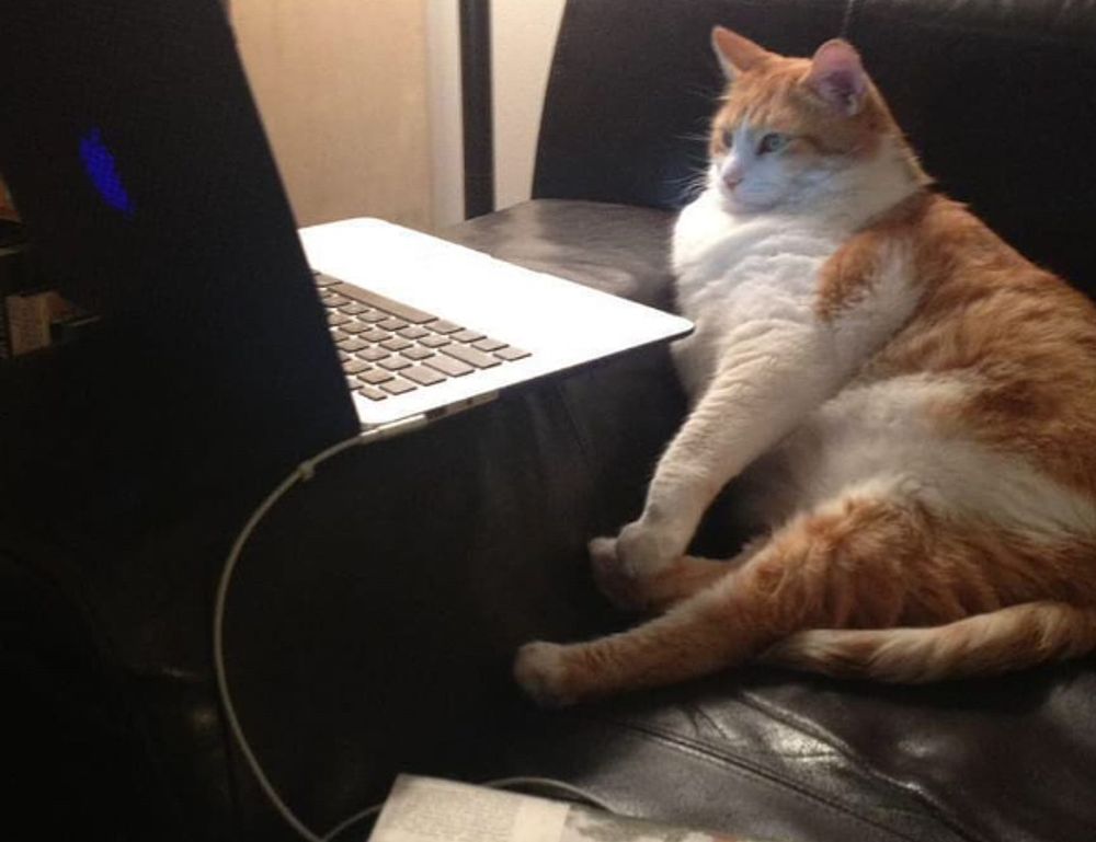 the evolution of casino slots etrstech