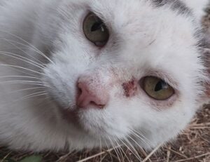 trending tech news gmrrcomputer