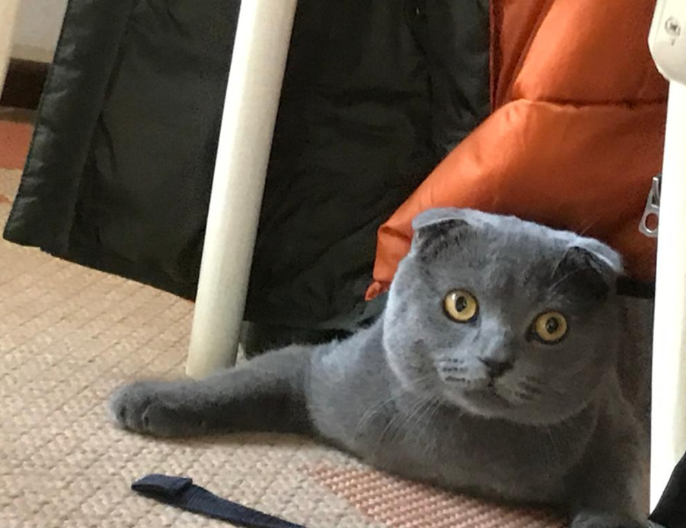 under desk elliptical fntkech