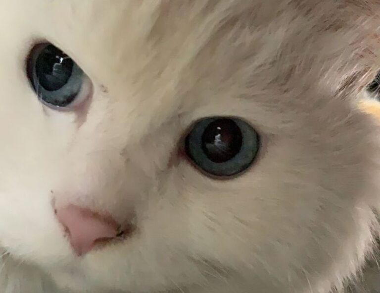 what a graphic designer can make gfxtek