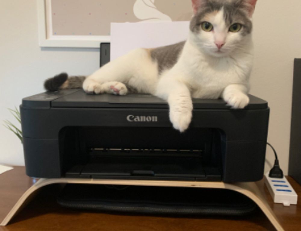 what are graphic design software gfxpixelment