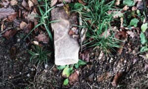 what is a good design software gfxpixelment