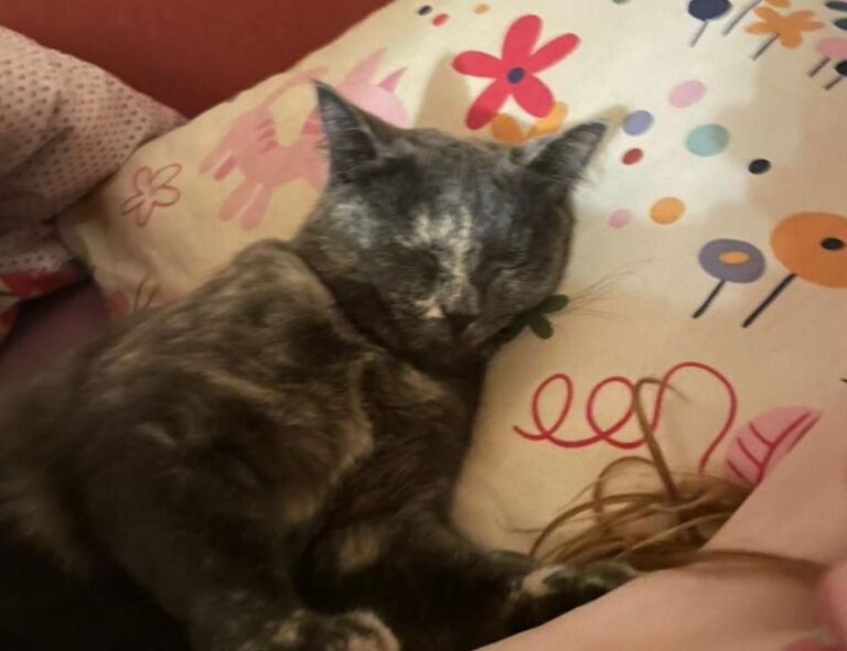 what is technology update jotechgeeks