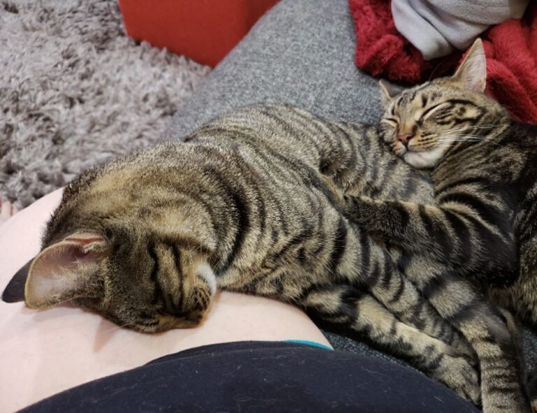 what technology trends today togtechify