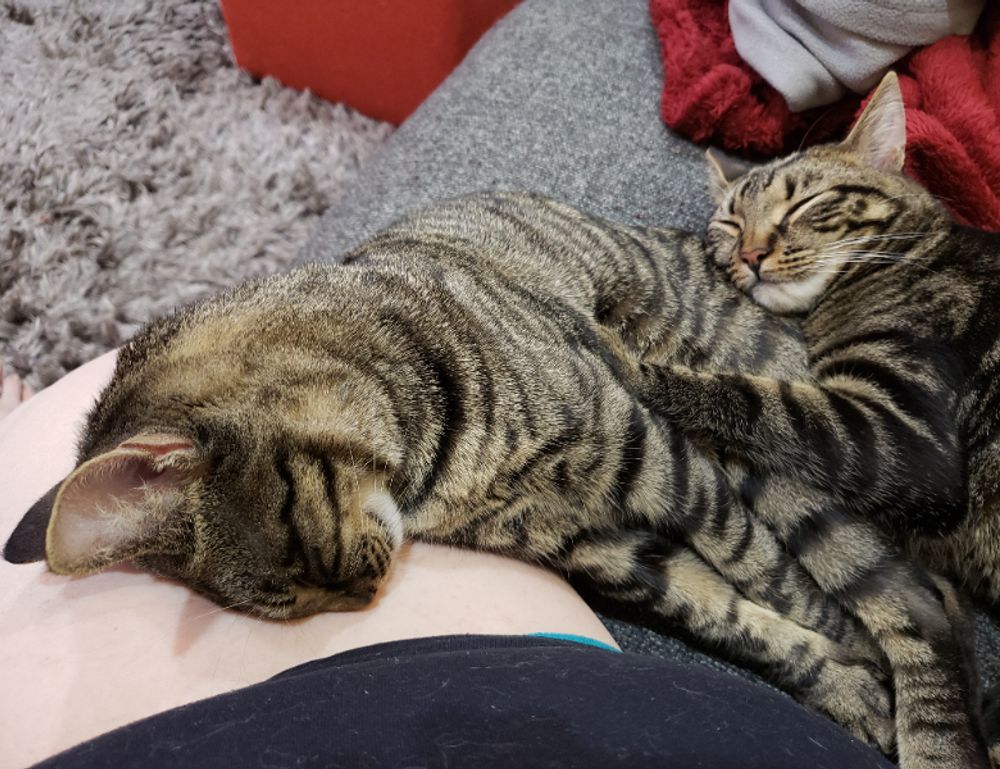 what technology trends today togtechify