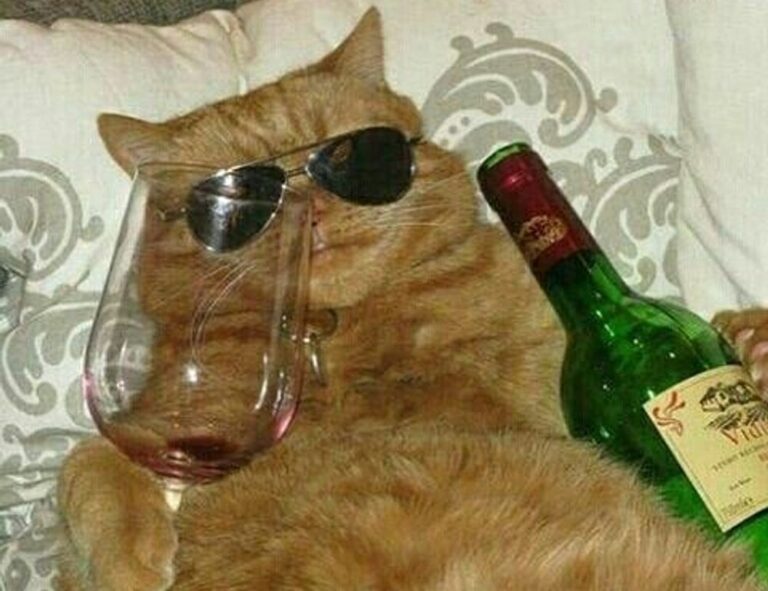 what to do if macbook keeps losing wifi etrstech