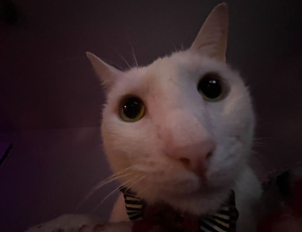 which tech jobs are in demand jotechgeeks