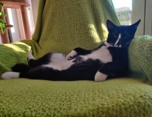 which trends affect igaming etrstech