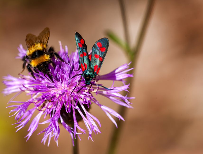 why are endbugflow software called bugs