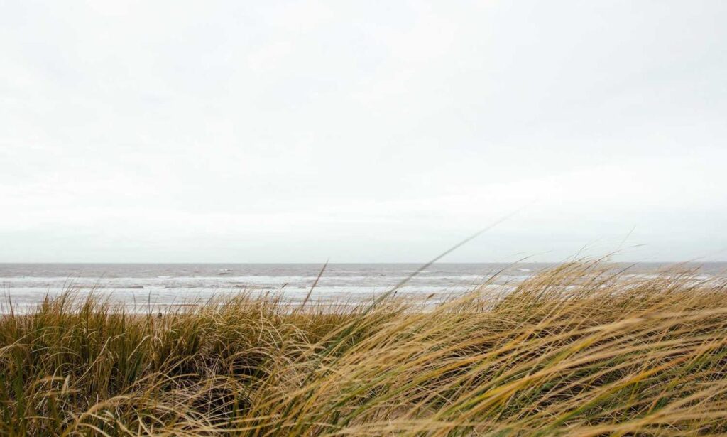 why is uhoebeans software update so slow