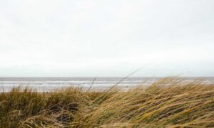 why is uhoebeans software update so slow