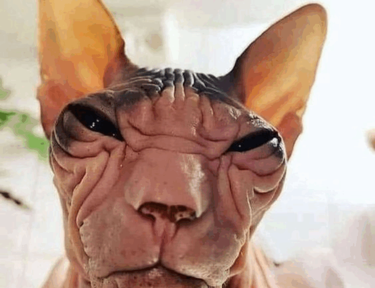 why technology cannot replace humans roartechmental