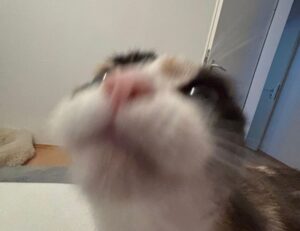 why technology should be used in the classroom roartechmental