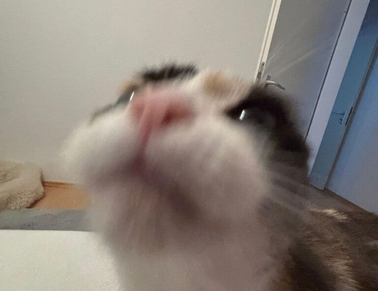 why technology should be used in the classroom roartechmental